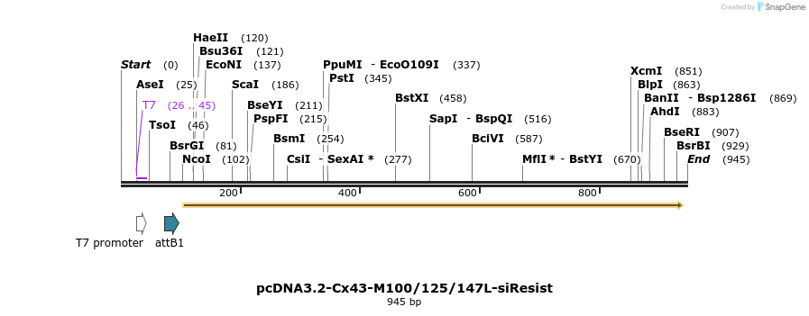 77955_map