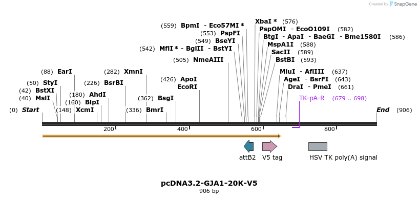 77956_map