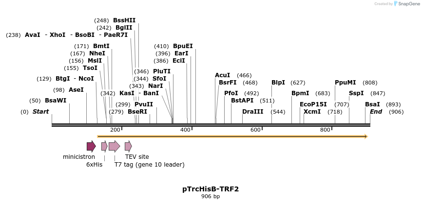 77959_map