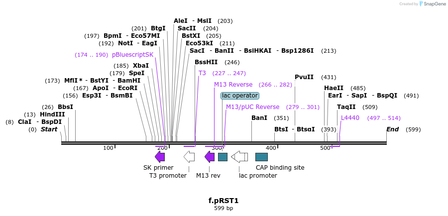 77960_map