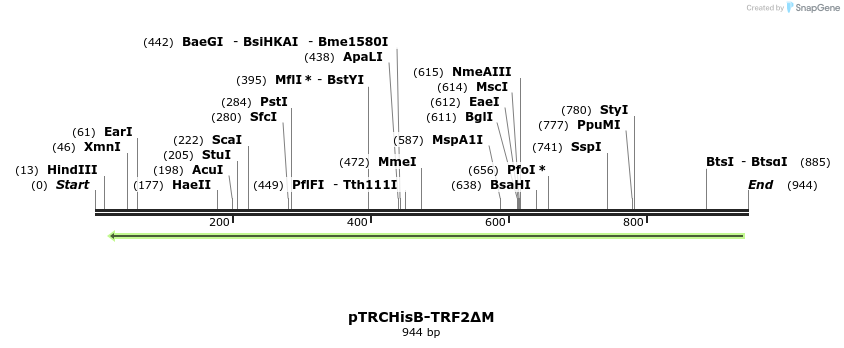 77961_map