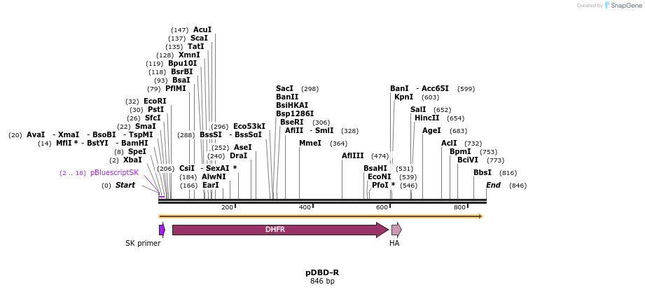 77968_map