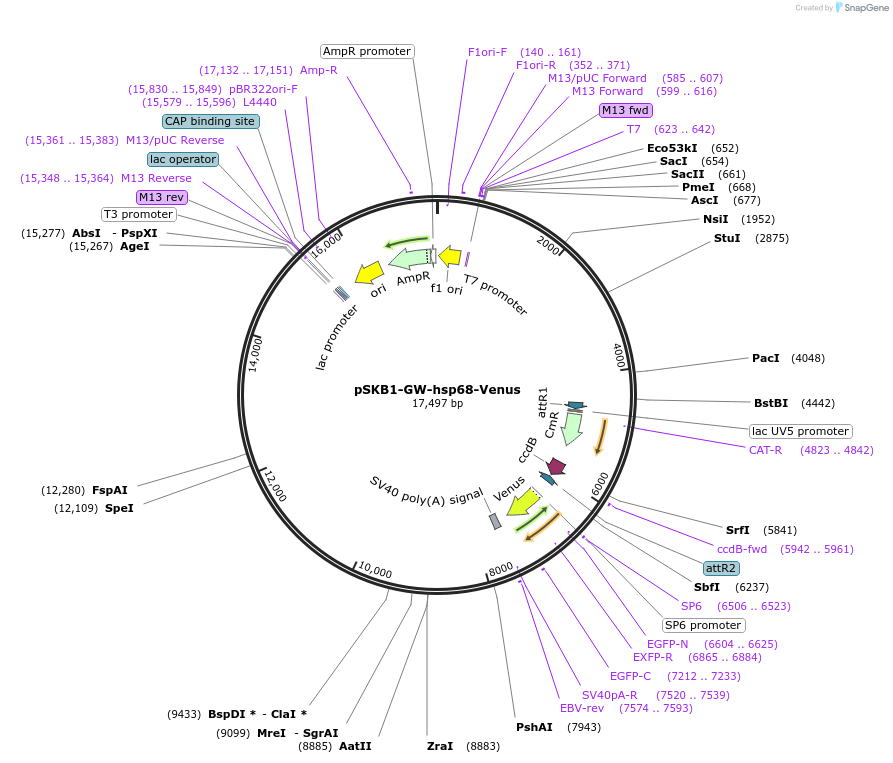 77983_map