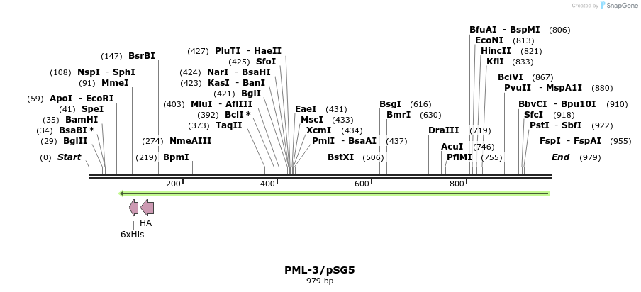 78001_map
