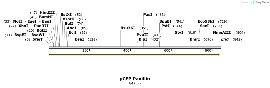 78005_map