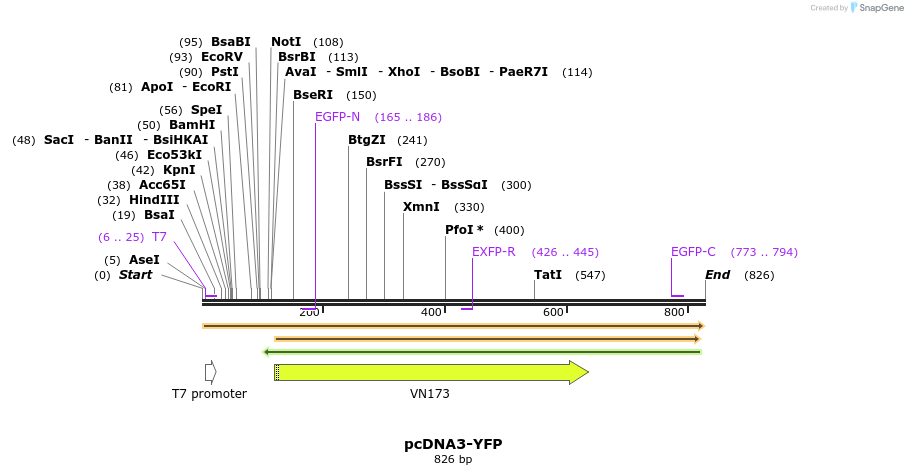 78007_map