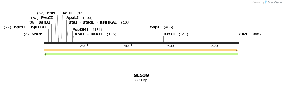78008_map