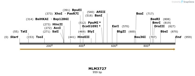 78009_map