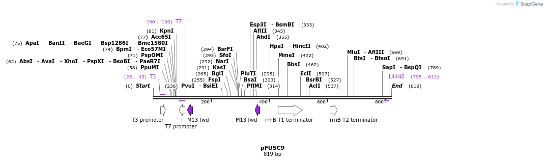78011_map
