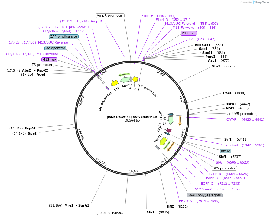 78012_map