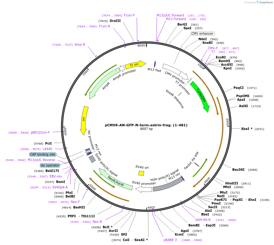 78017_map