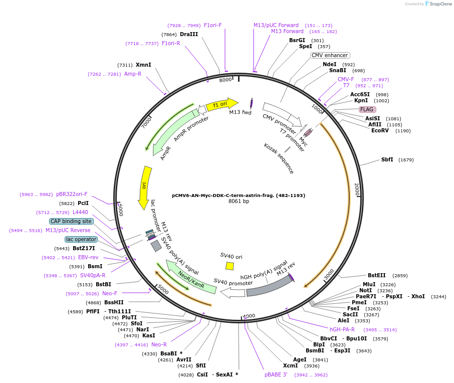 78023_map