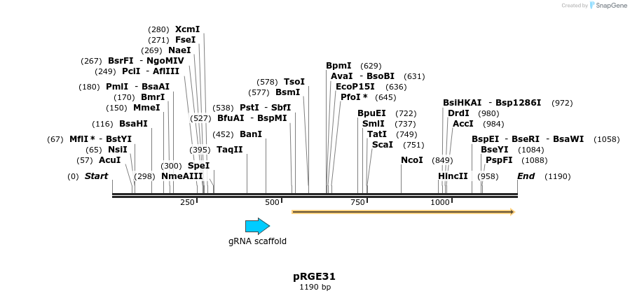 78024_map