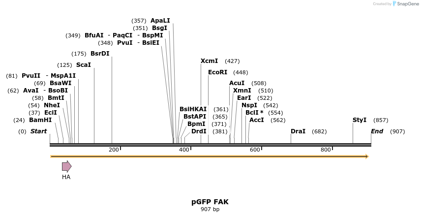 78030_map