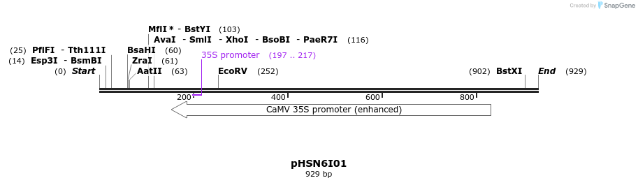78036_map