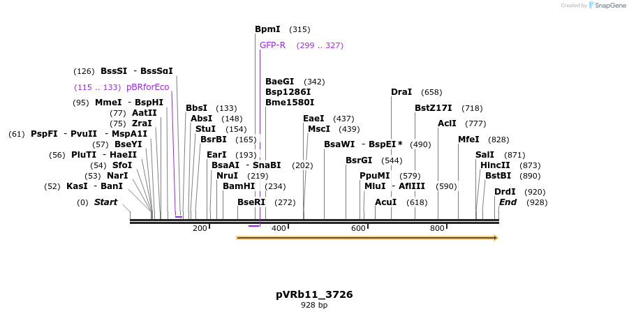 78037_map