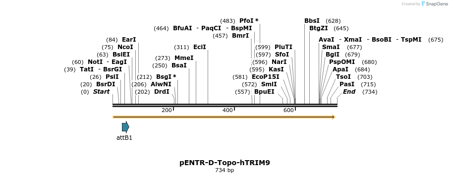 78040_map