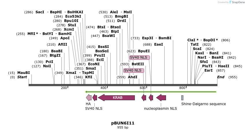 78042_map