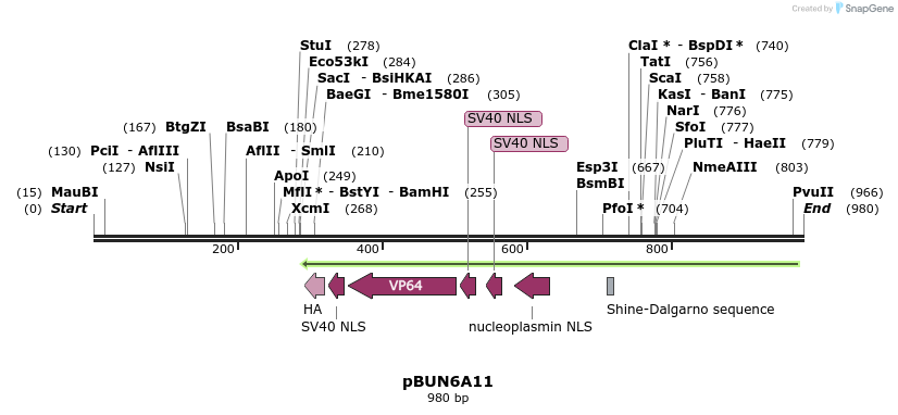 78043_map