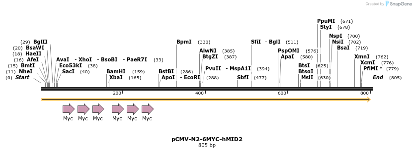 78044_map