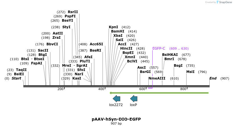 78048_map