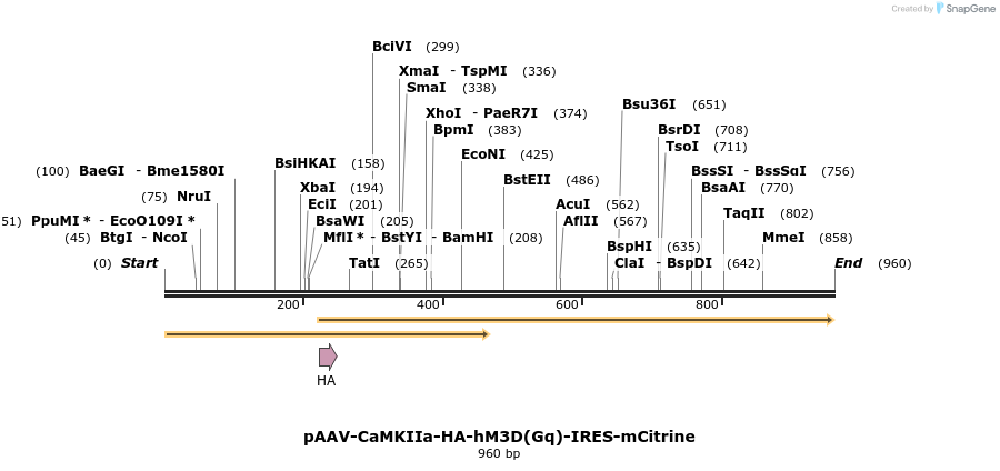 78050_map