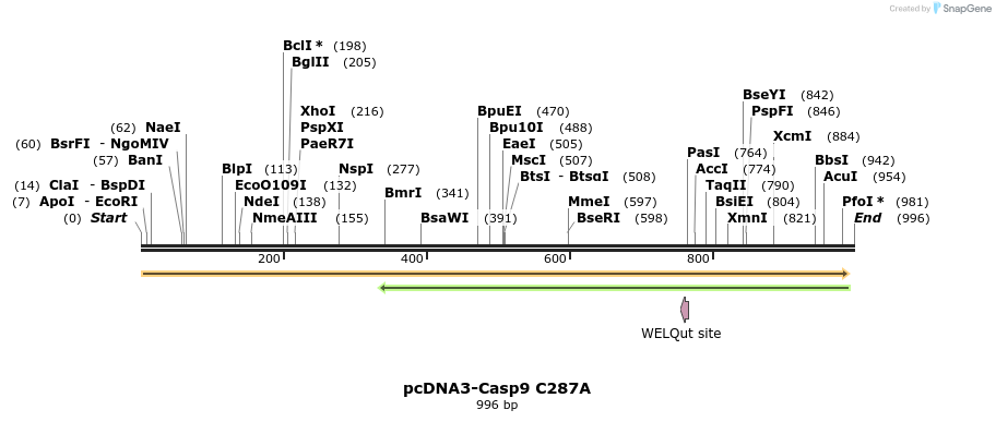 78052_map