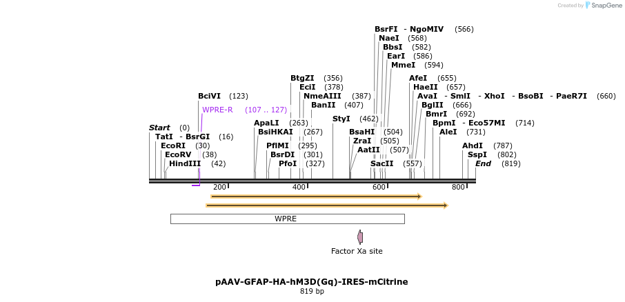 78053_map