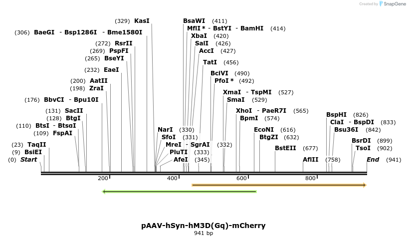 78054_map