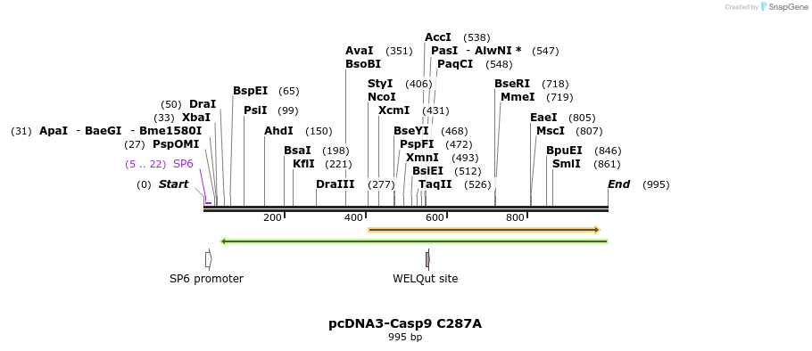 78055_map