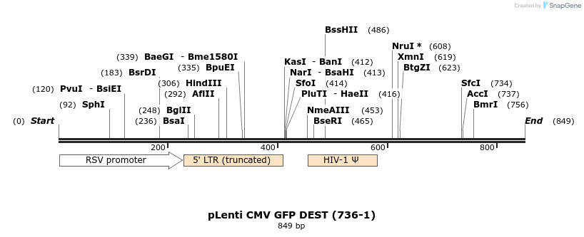 78056_map