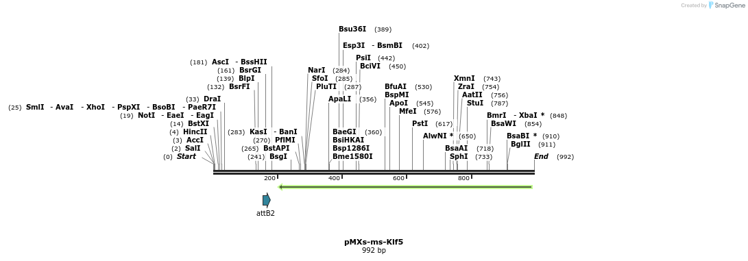 78059_map