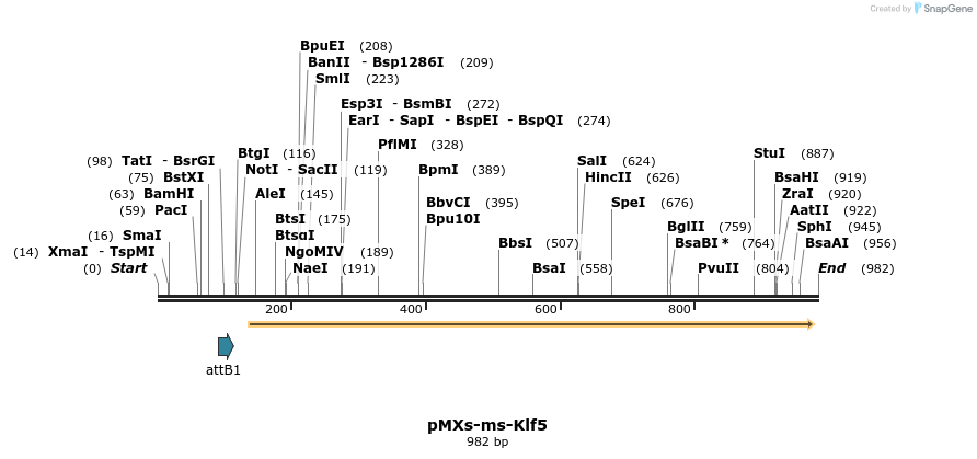 78060_map