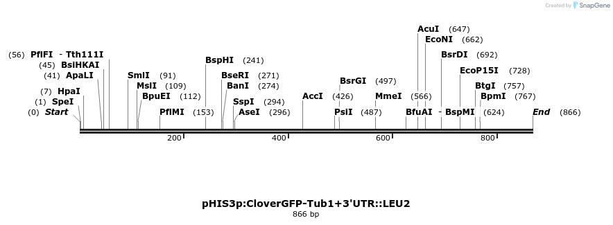 78061_map