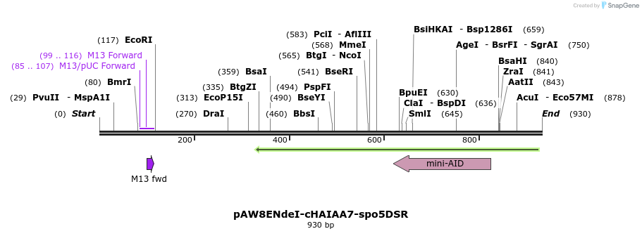 78066_map