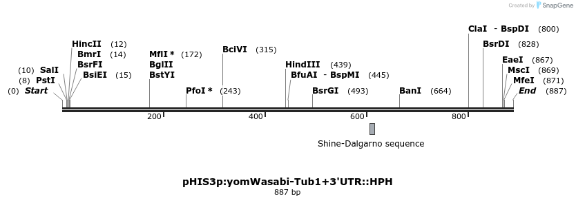 78072_map