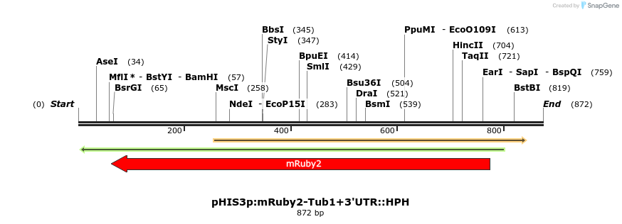 78074_map