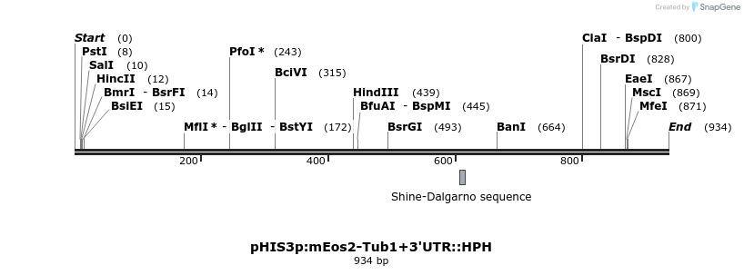 78075_map