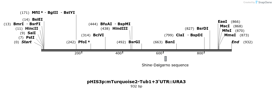 78076_map