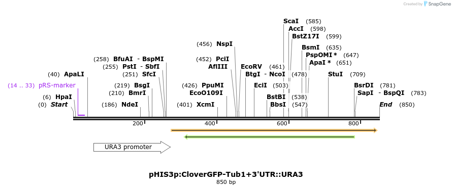 78077_map