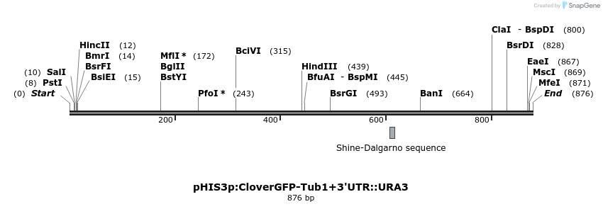 78079_map