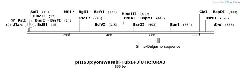 78080_map