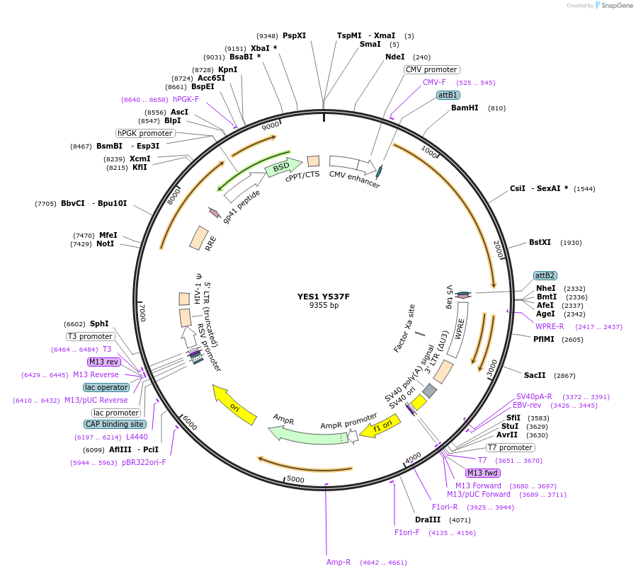 78110_map