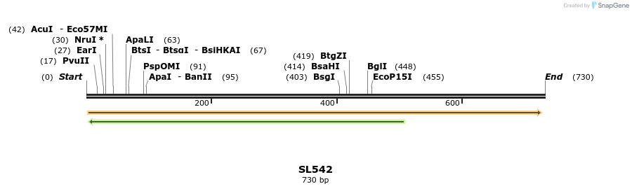 78113_map