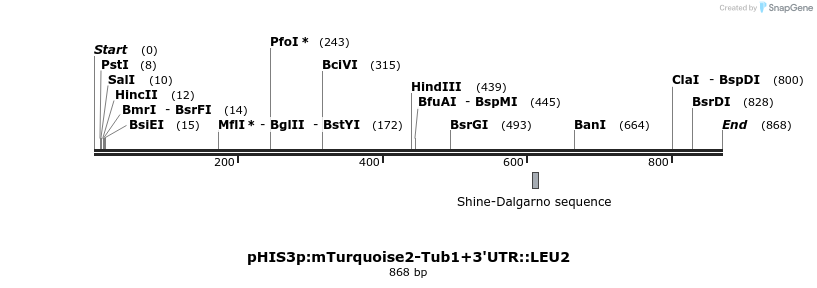 78116_map
