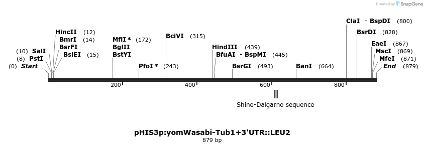 78117_map