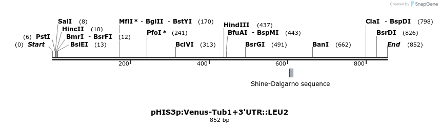 78118_map