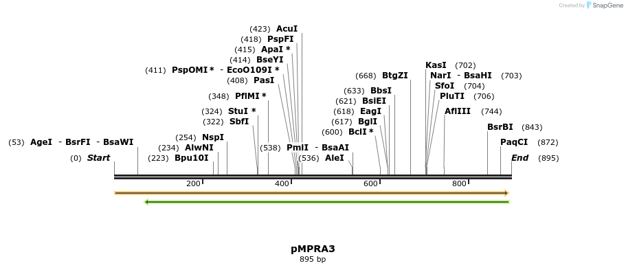 78120_map