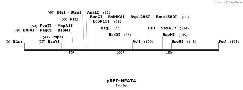 78121_map