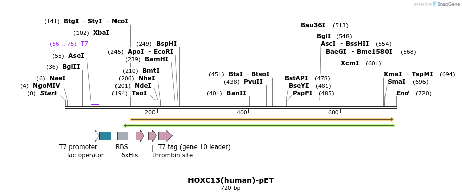 78122_map